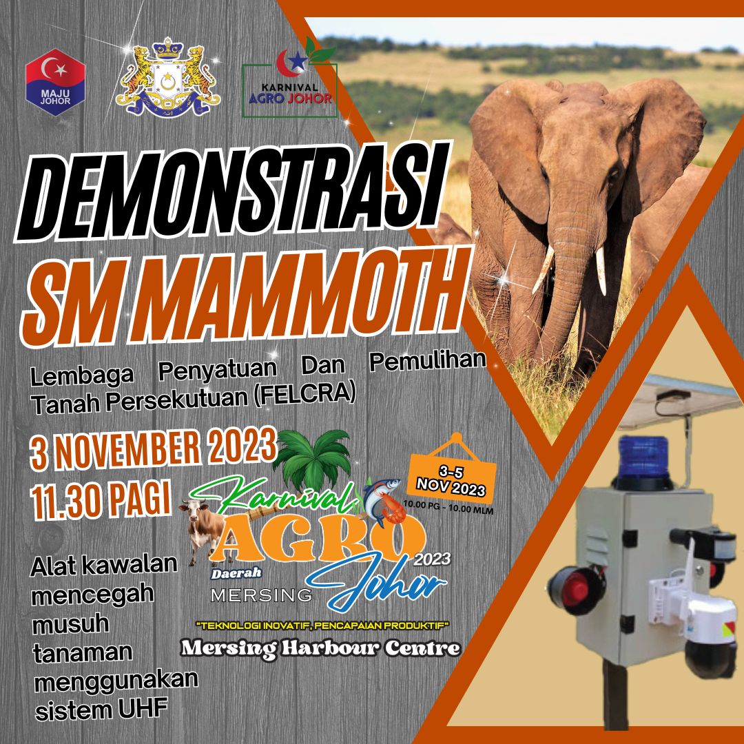 398247903_643829201244827_4707792854256900068_n